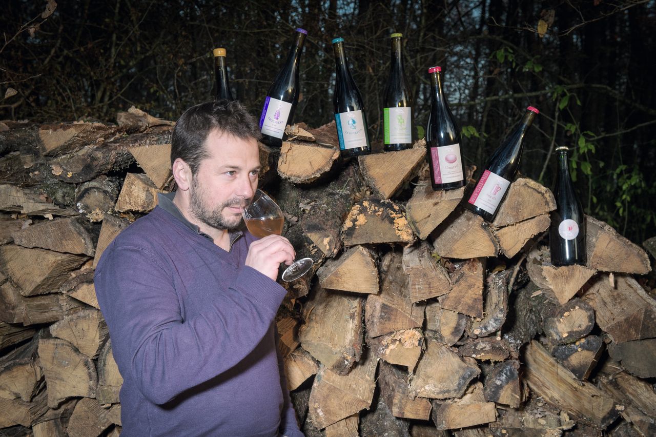 Vins Vigneron Raphael Monnier - Ratapoil RataPoil-0001